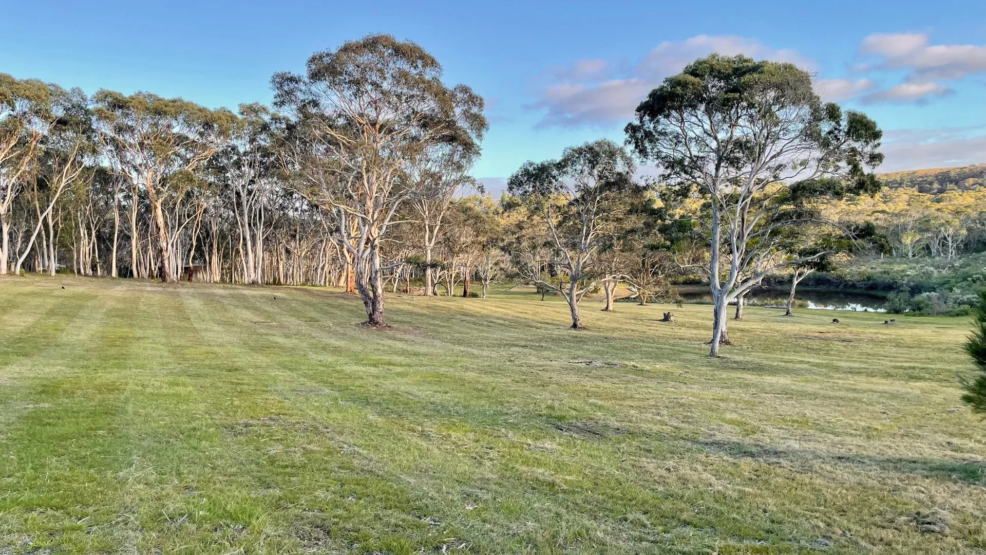 Paddocks, dam and bush across the property