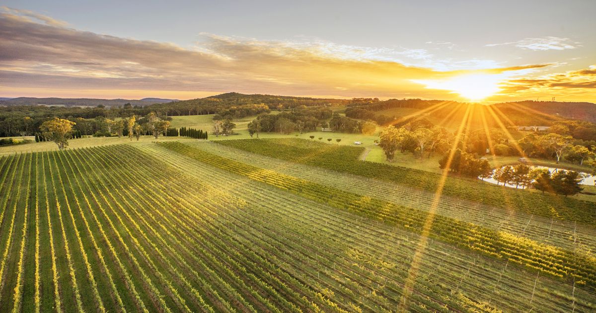 The rolling Southern Highlands landscape